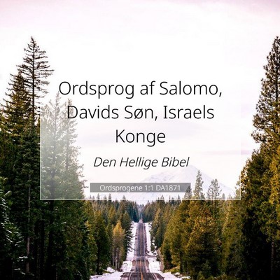 Picture 07 - Ordsprogene 1:1 DA1871 - Ordsprog af Salomo, Davids Søn, Israels - Bible Verse Picture