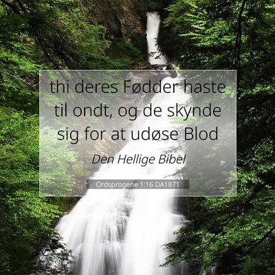 Picture 07 - Ordsprogene 1:16 DA1871 - thi deres Fødder haste til ondt, og de skynde - Bible Verse Picture