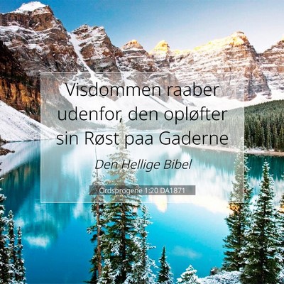Picture 07 - Ordsprogene 1:20 DA1871 - Visdommen raaber udenfor, den opløfter sin Røst - Bible Verse Picture
