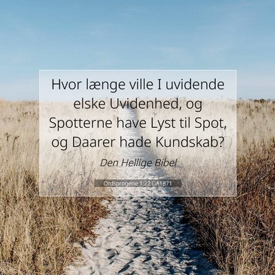 Picture 07 - Ordsprogene 1:22 DA1871 - Hvor længe ville I uvidende elske Uvidenhed, og - Bible Verse Picture