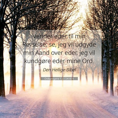 Picture 07 - Ordsprogene 1:23 DA1871 - Vender eder til min Revselse; se, jeg vil udgyde - Bible Verse Picture