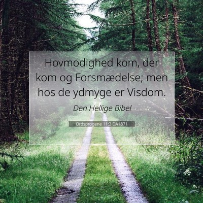 Picture 07 - Ordsprogene 11:2 DA1871 - Hovmodighed kom, der kom og Forsmædelse; men hos - Bible Verse Picture