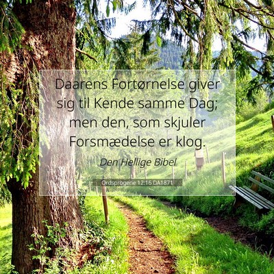 Picture 07 - Ordsprogene 12:16 DA1871 - Daarens Fortørnelse giver sig til Kende samme - Bible Verse Picture