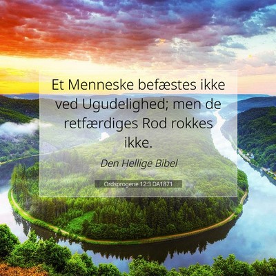 Picture 07 - Ordsprogene 12:3 DA1871 - Et Menneske befæstes ikke ved Ugudelighed; men - Bible Verse Picture