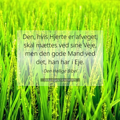 Picture 07 - Ordsprogene 14:14 DA1871 - Den, hvis Hjerte er afveget, skal mættes ved - Bible Verse Picture