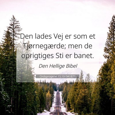 Picture 07 - Ordsprogene 15:19 DA1871 - Den lades Vej er som et Tjørnegærde; men de - Bible Verse Picture