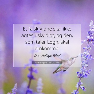 Picture 07 - Ordsprogene 19:9 DA1871 - Et falsk Vidne skal ikke agtes uskyldigt, og den, - Bible Verse Picture
