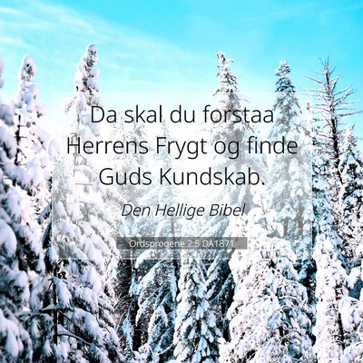 Picture 07 - Ordsprogene 2:5 DA1871 - Da skal du forstaa Herrens Frygt og finde Guds - Bible Verse Picture