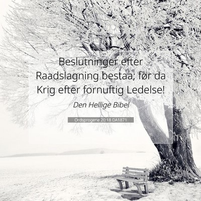 Picture 07 - Ordsprogene 20:18 DA1871 - Beslutninger efter Raadslagning bestaa; før da - Bible Verse Picture