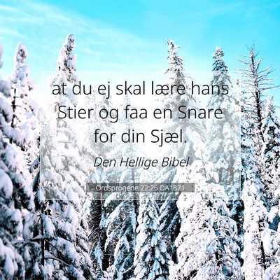 Picture 07 - Ordsprogene 22:25 DA1871 - at du ej skal lære hans Stier og faa en Snare - Bible Verse Picture