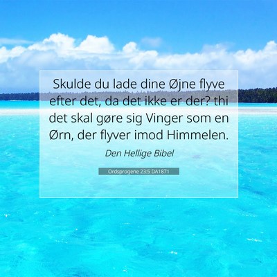 Picture 07 - Ordsprogene 23:5 DA1871 - Skulde du lade dine Øjne flyve efter det, da det - Bible Verse Picture