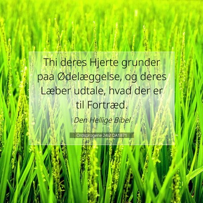 Picture 07 - Ordsprogene 24:2 DA1871 - Thi deres Hjerte grunder paa Ødelæggelse, og - Bible Verse Picture