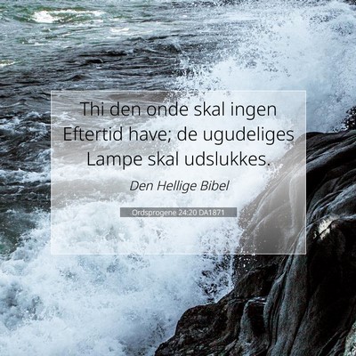 Picture 07 - Ordsprogene 24:20 DA1871 - Thi den onde skal ingen Eftertid have; de - Bible Verse Picture