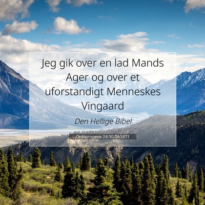 Picture 07 - Ordsprogene 24:30 DA1871 - Jeg gik over en lad Mands Ager og over et - Bible Verse Picture