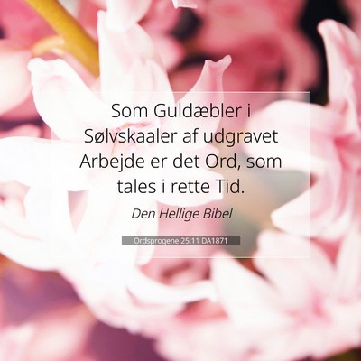 Picture 07 - Ordsprogene 25:11 DA1871 - Som Guldæbler i Sølvskaaler af udgravet Arbejde - Bible Verse Picture
