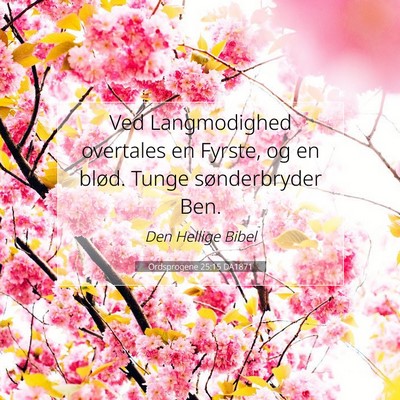 Picture 07 - Ordsprogene 25:15 DA1871 - Ved Langmodighed overtales en Fyrste, og en - Bible Verse Picture