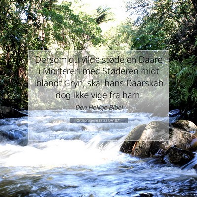 Picture 07 - Ordsprogene 27:22 DA1871 - Dersom du vilde støde en Daare i Morteren med - Bible Verse Picture