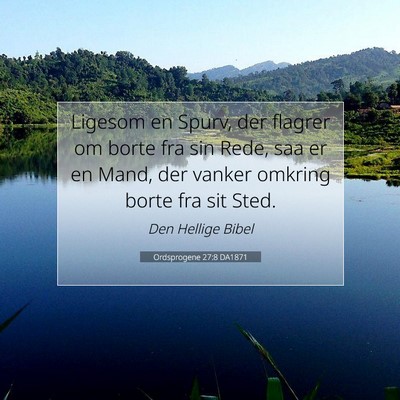 Picture 07 - Ordsprogene 27:8 DA1871 - Ligesom en Spurv, der flagrer om borte fra sin - Bible Verse Picture