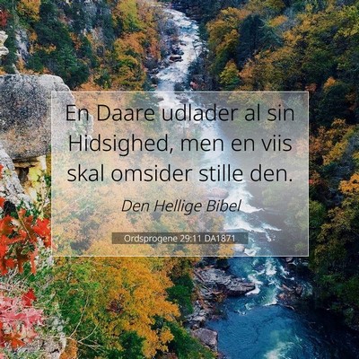 Picture 07 - Ordsprogene 29:11 DA1871 - En Daare udlader al sin Hidsighed, men en viis - Bible Verse Picture