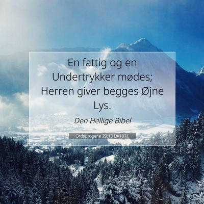 Picture 07 - Ordsprogene 29:13 DA1871 - En fattig og en Undertrykker mødes; Herren giver - Bible Verse Picture