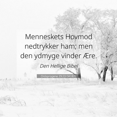 Picture 07 - Ordsprogene 29:23 DA1871 - Menneskets Hovmod nedtrykker ham; men den ydmyge - Bible Verse Picture