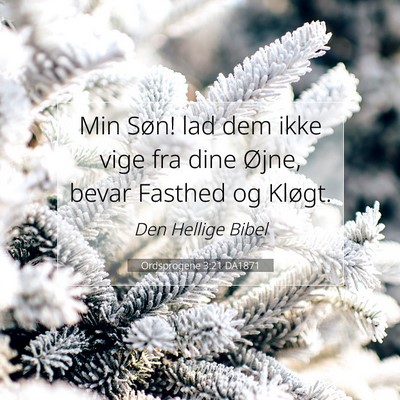 Picture 07 - Ordsprogene 3:21 DA1871 - Min Søn! lad dem ikke vige fra dine Øjne, bevar - Bible Verse Picture