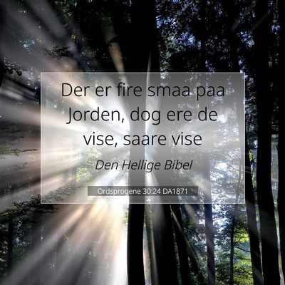 Picture 07 - Ordsprogene 30:24 DA1871 - Der er fire smaa paa Jorden, dog ere de vise, - Bible Verse Picture