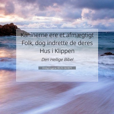 Picture 07 - Ordsprogene 30:26 DA1871 - Kaninerne ere et afmægtigt Folk, dog indrette de - Bible Verse Picture