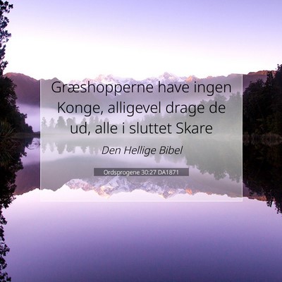 Picture 07 - Ordsprogene 30:27 DA1871 - Græshopperne have ingen Konge, alligevel drage - Bible Verse Picture