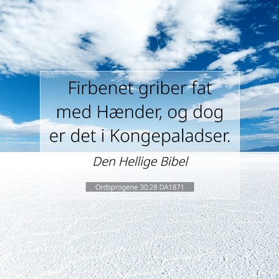 Picture 07 - Ordsprogene 30:28 DA1871 - Firbenet griber fat med Hænder, og dog er det i - Bible Verse Picture