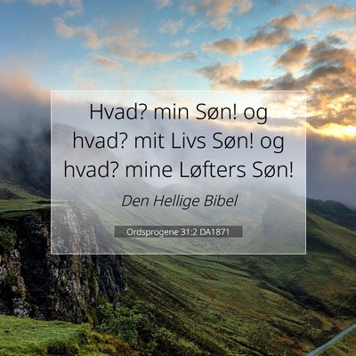 Picture 07 - Ordsprogene 31:2 DA1871 - Hvad? min Søn! og hvad? mit Livs Søn! og hvad? - Bible Verse Picture