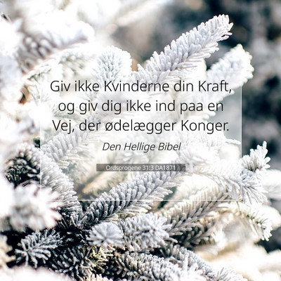 Picture 07 - Ordsprogene 31:3 DA1871 - Giv ikke Kvinderne din Kraft, og giv dig ikke ind - Bible Verse Picture
