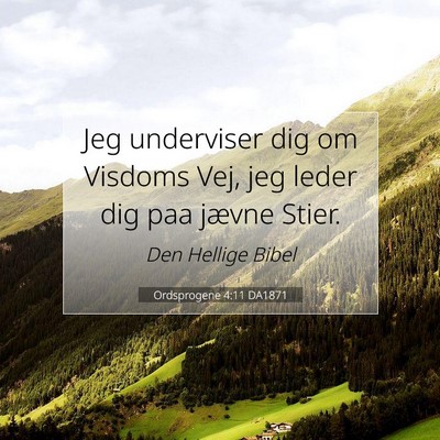 Picture 07 - Ordsprogene 4:11 DA1871 - Jeg underviser dig om Visdoms Vej, jeg leder dig - Bible Verse Picture