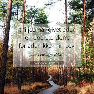 Picture 07 - Ordsprogene 4:2 DA1871 - thi jeg har givet eder en god Lærdom; forlader - Bible Verse Picture