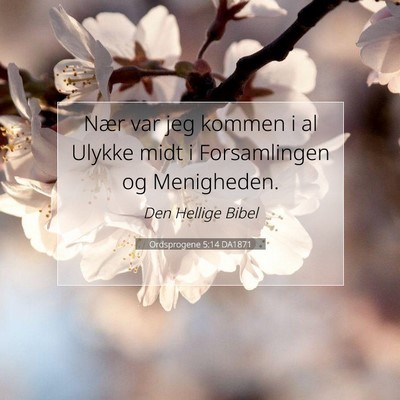 Picture 07 - Ordsprogene 5:14 DA1871 - Nær var jeg kommen i al Ulykke midt i - Bible Verse Picture