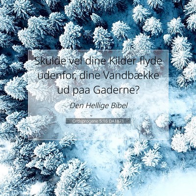 Picture 07 - Ordsprogene 5:16 DA1871 - Skulde vel dine Kilder flyde udenfor, dine - Bible Verse Picture