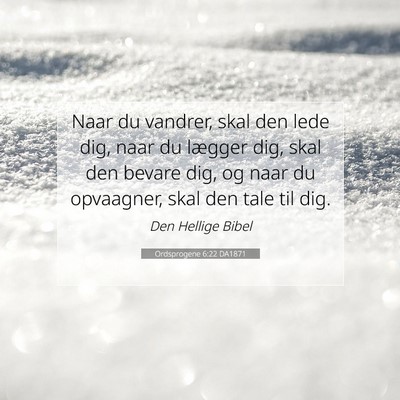 Picture 07 - Ordsprogene 6:22 DA1871 - Naar du vandrer, skal den lede dig, naar du - Bible Verse Picture