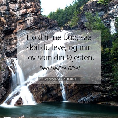 Picture 07 - Ordsprogene 7:2 DA1871 - Hold mine Bud, saa skal du leve, og min Lov som - Bible Verse Picture