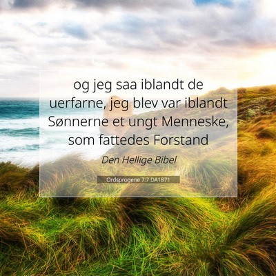 Picture 07 - Ordsprogene 7:7 DA1871 - og jeg saa iblandt de uerfarne, jeg blev var - Bible Verse Picture