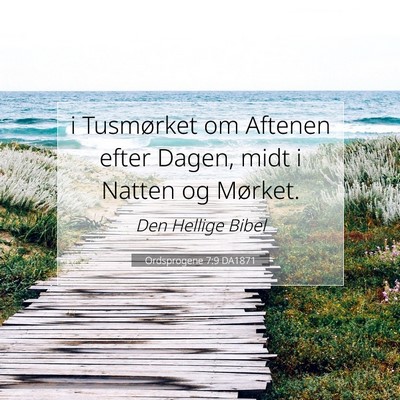 Picture 07 - Ordsprogene 7:9 DA1871 - i Tusmørket om Aftenen efter Dagen, midt i - Bible Verse Picture