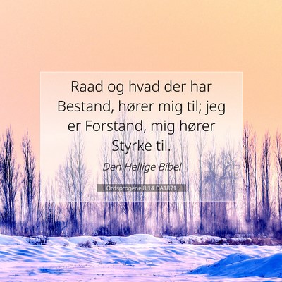 Picture 07 - Ordsprogene 8:14 DA1871 - Raad og hvad der har Bestand, hører mig til; jeg - Bible Verse Picture