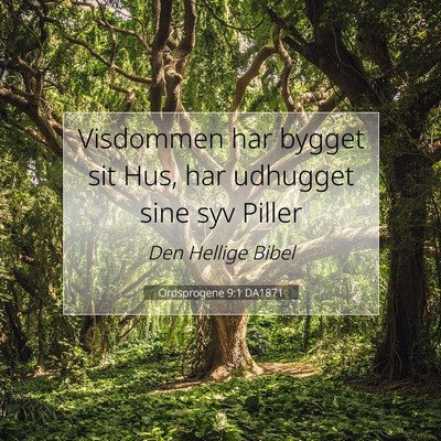 Picture 07 - Ordsprogene 9:1 DA1871 - Visdommen har bygget sit Hus, har udhugget sine - Bible Verse Picture