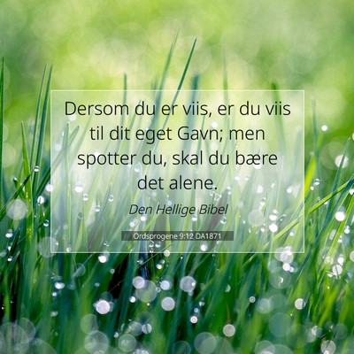 Picture 07 - Ordsprogene 9:12 DA1871 - Dersom du er viis, er du viis til dit eget Gavn; - Bible Verse Picture