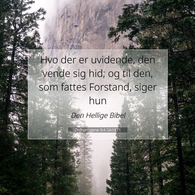 Picture 07 - Ordsprogene 9:4 DA1871 - Hvo der er uvidende, den vende sig hid; og til - Bible Verse Picture
