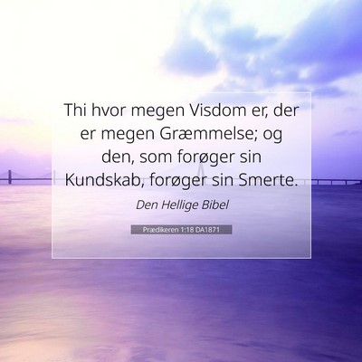 Picture 07 - Prædikeren 1:18 DA1871 - Thi hvor megen Visdom er, der er megen - Bible Verse Picture