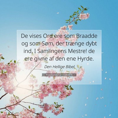 Picture 07 - Prædikeren 12:11 DA1871 - De vises Ord ere som Braadde og som Søm, der - Bible Verse Picture