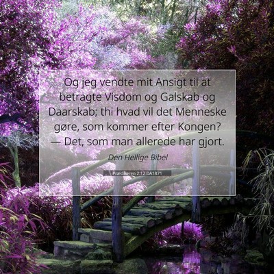 Picture 07 - Prædikeren 2:12 DA1871 - Og jeg vendte mit Ansigt til at betragte Visdom - Bible Verse Picture