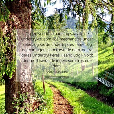 Picture 07 - Prædikeren 4:1 DA1871 - Og jeg vendte tilbage og saa alle de undertrykte, - Bible Verse Picture