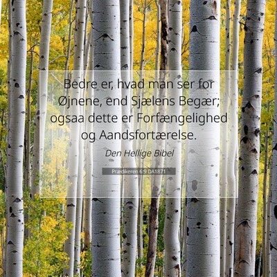 Picture 07 - Prædikeren 6:9 DA1871 - Bedre er, hvad man ser for Øjnene, end Sjælens - Bible Verse Picture