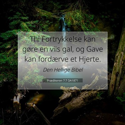 Picture 07 - Prædikeren 7:7 DA1871 - Thi Fortrykkelse kan gøre en viis gal, og Gave - Bible Verse Picture